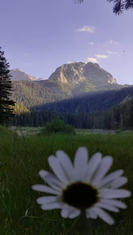 Rooms Apartment Durmitor Žabljak Exteriér fotografie