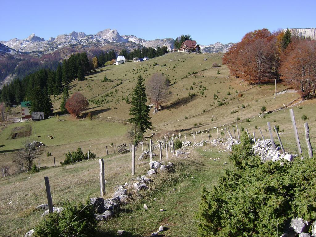 Rooms Apartment Durmitor Žabljak Exteriér fotografie