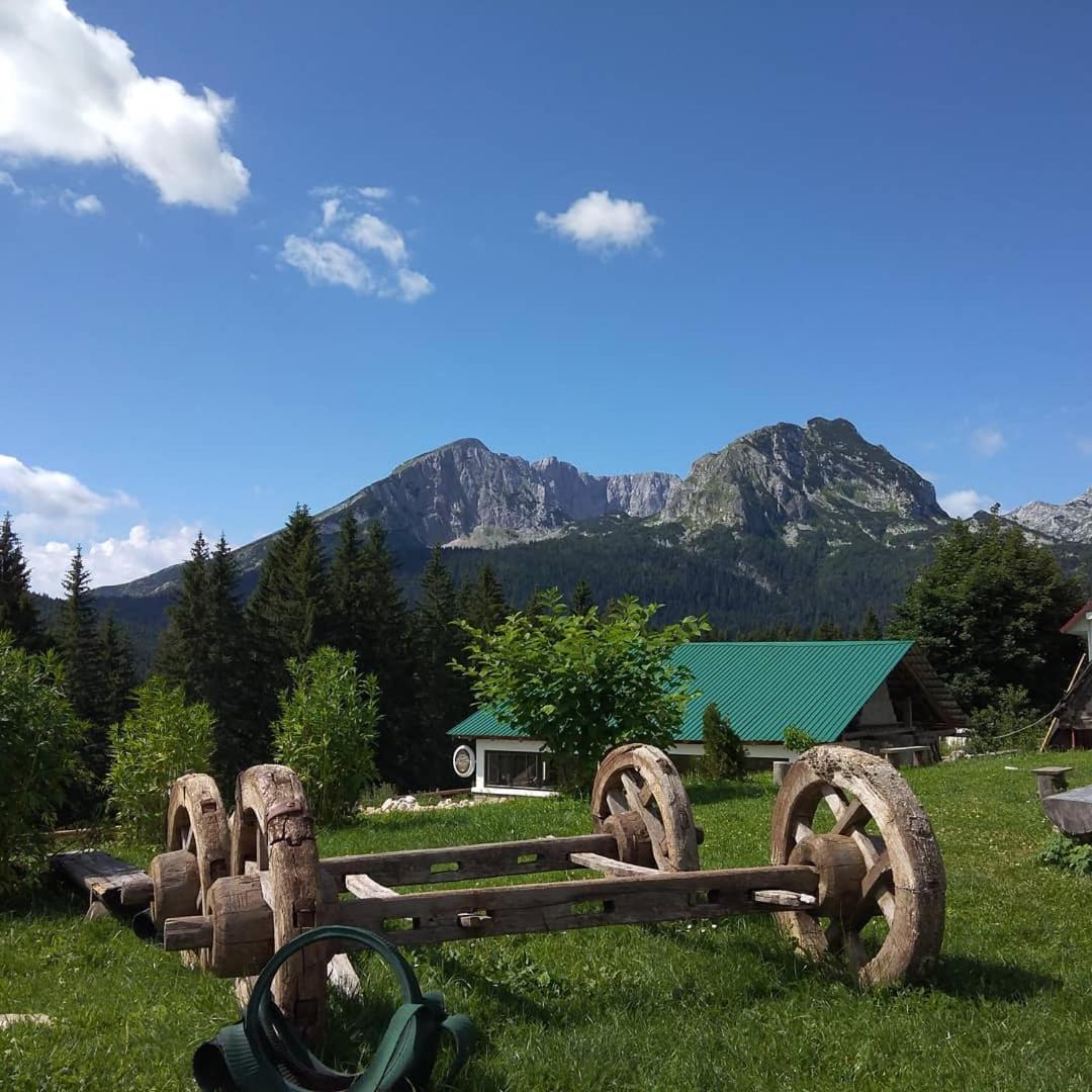 Rooms Apartment Durmitor Žabljak Pokoj fotografie